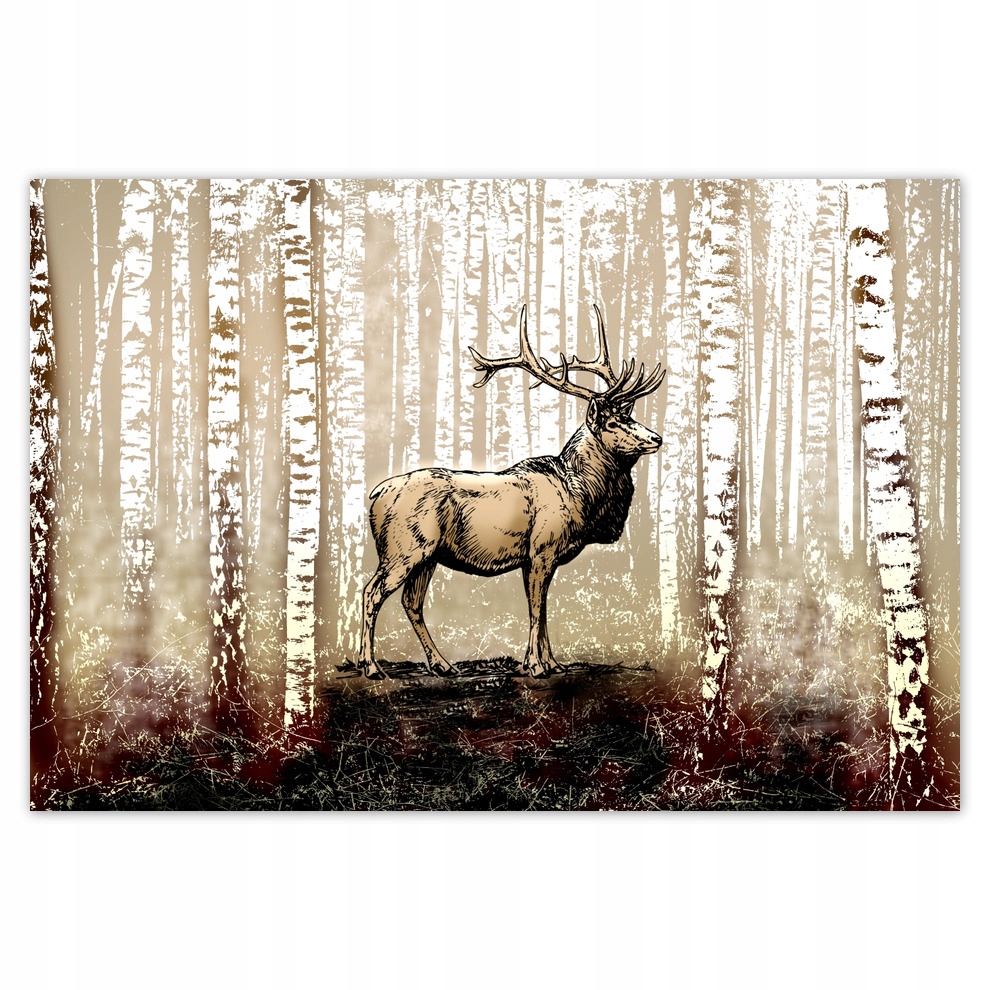 

Fototapety flizelina 152x104 Jeleń Brzoza Las