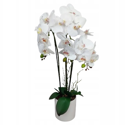 Orchidej Bílá umělá v květináči 3 výhonky bílá Orchidej keramický květináč