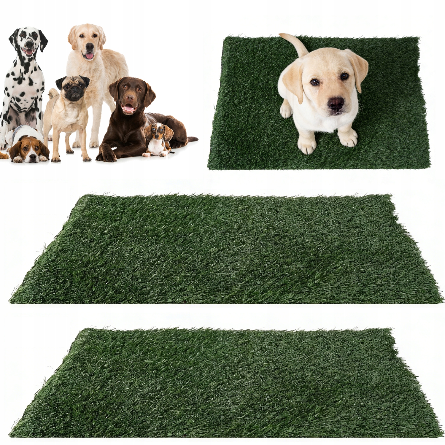 Levně Tréninková Toaleta Pro Psa 2 Ks S Umělou Trávou Na Balkon Terasu