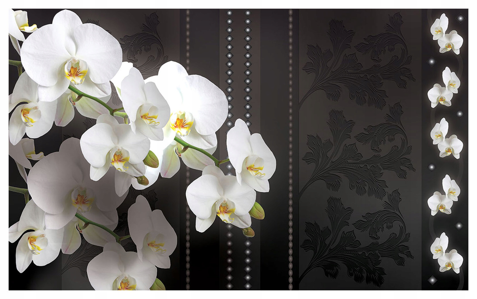 Fototapeta Biele orchidey Elegancia Perspektíva Kvety 416x254 lepidlo