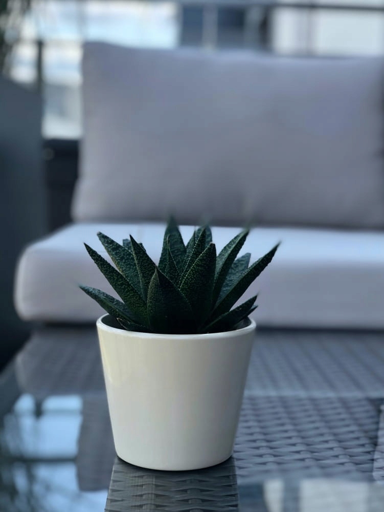 CERAMICZNA OSŁONKA DONICZKA 12CM BIAŁA Kod producenta 71.001.13