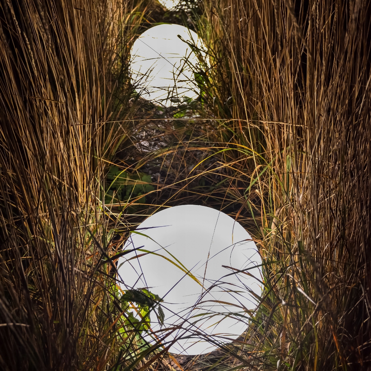 LAMPA LED ZEWNĘTRZNA OGRODOWA *KULA SOLARNA* WBIJANA DO ZIEMI 65 CM Kolor dominujący biały