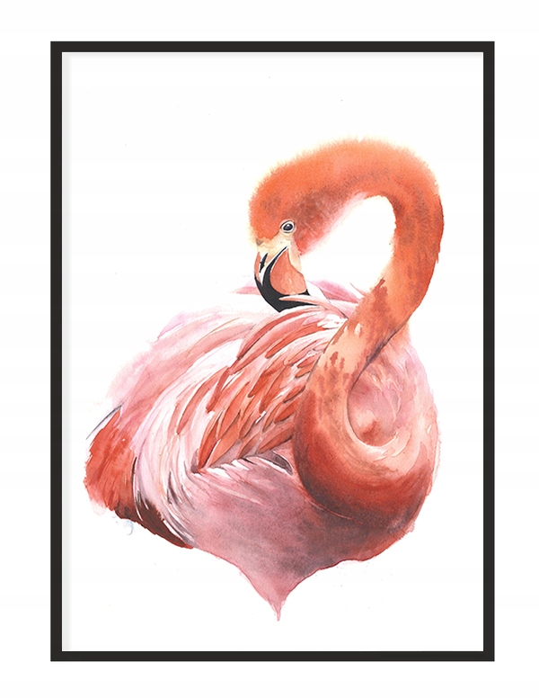 

Obraz Plakat W Ramie 43x33 cm Flaming P1233