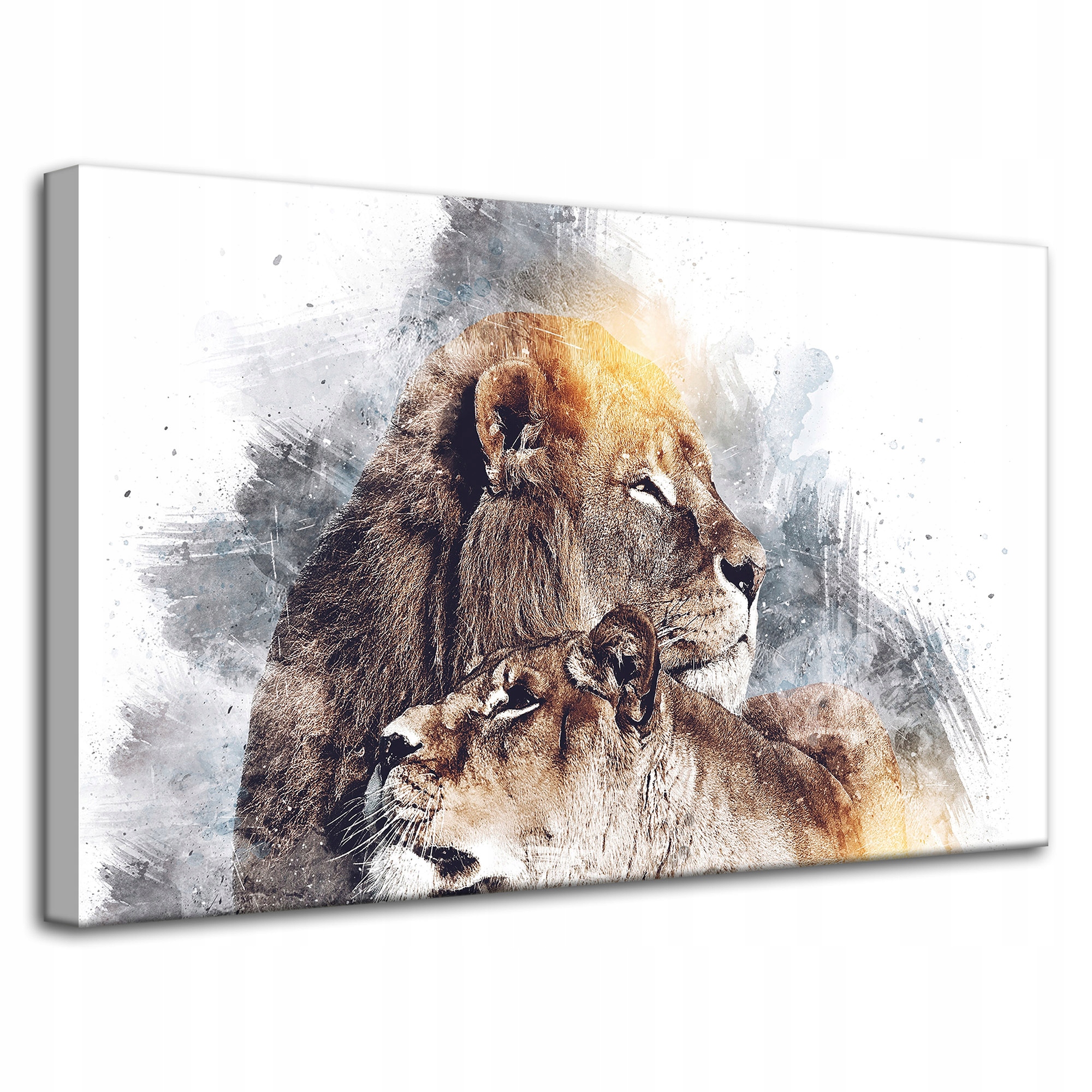Obraz na plátně Moderní Umění Pár Lvů Příroda 80x50 cm
