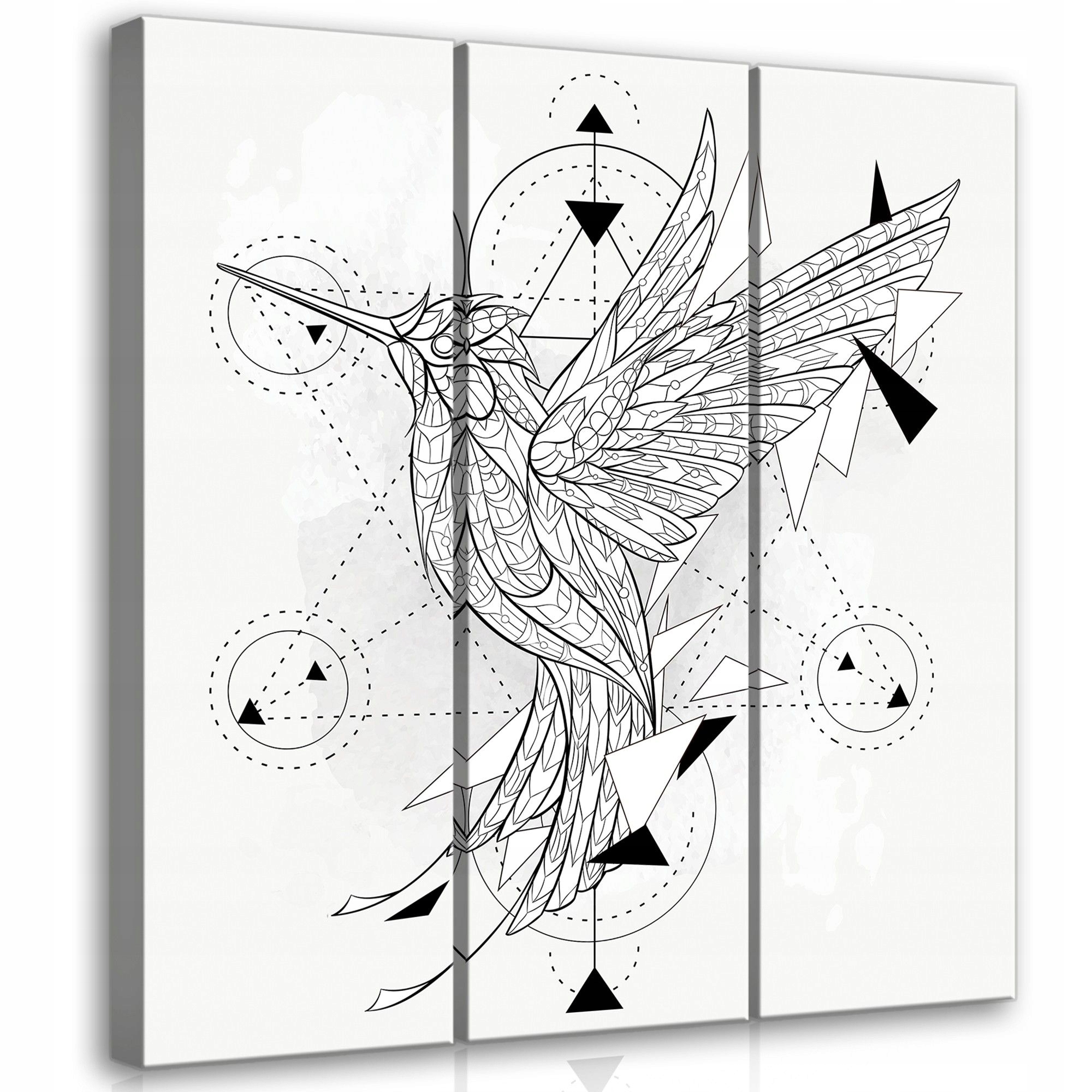 Obraz 90x100 Kolibříci geometrie abstrakce minimalismus grafika letový pohyb