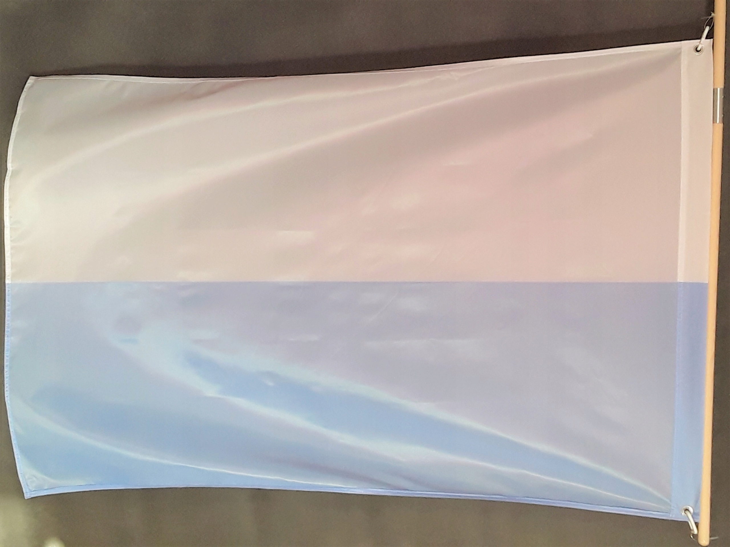 Flaga Maryjna 100x150cm Maszt (Druk-2) Rodzaj flaga