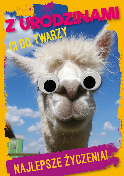 

Kartka urodzinowa najlepsze życzenia 17x12cm ASm75