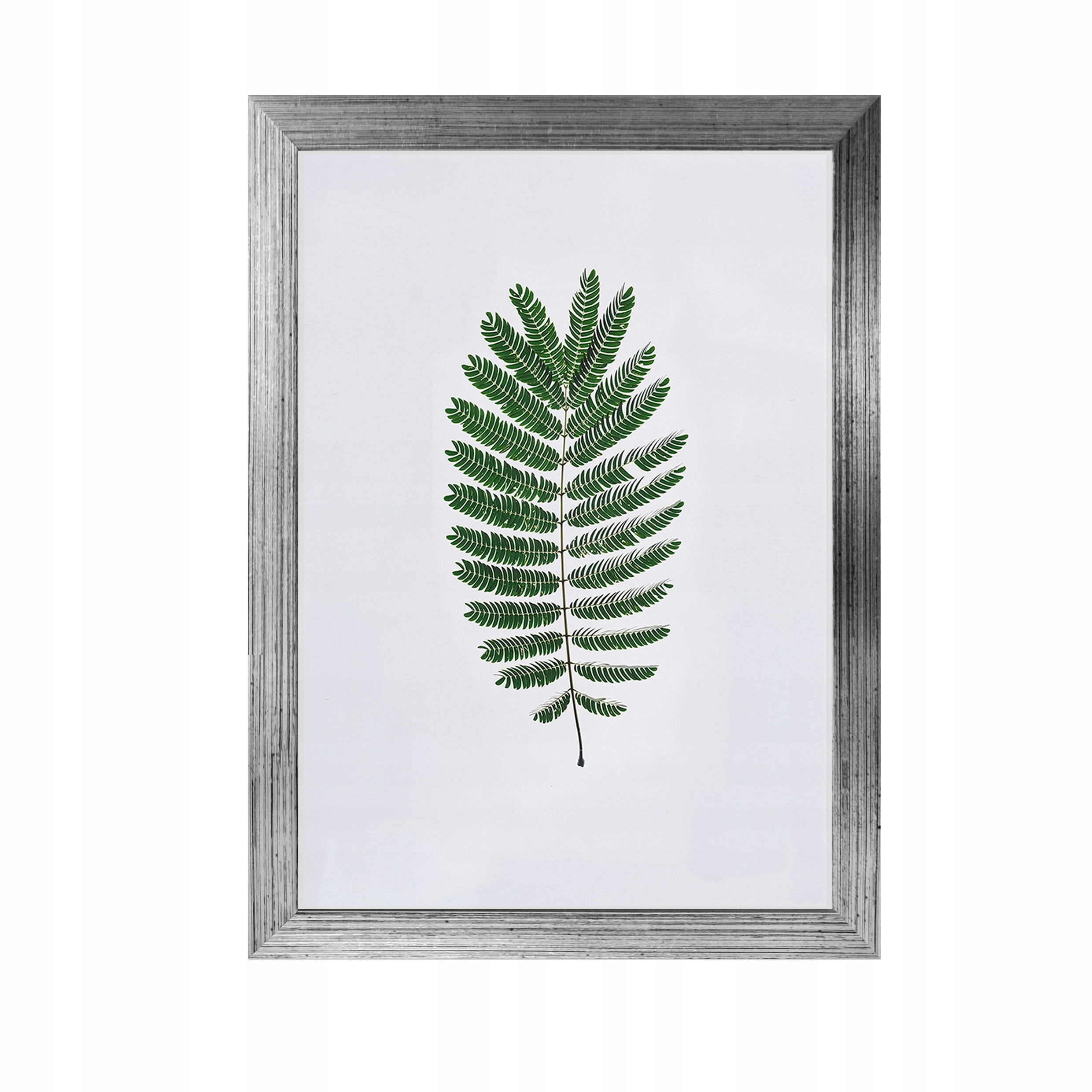 

Foto-Ramka 15x23 Olivia srebrny z czarnym