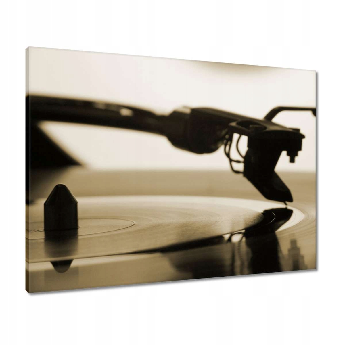 Obrazy 80x60 Vinylová deska