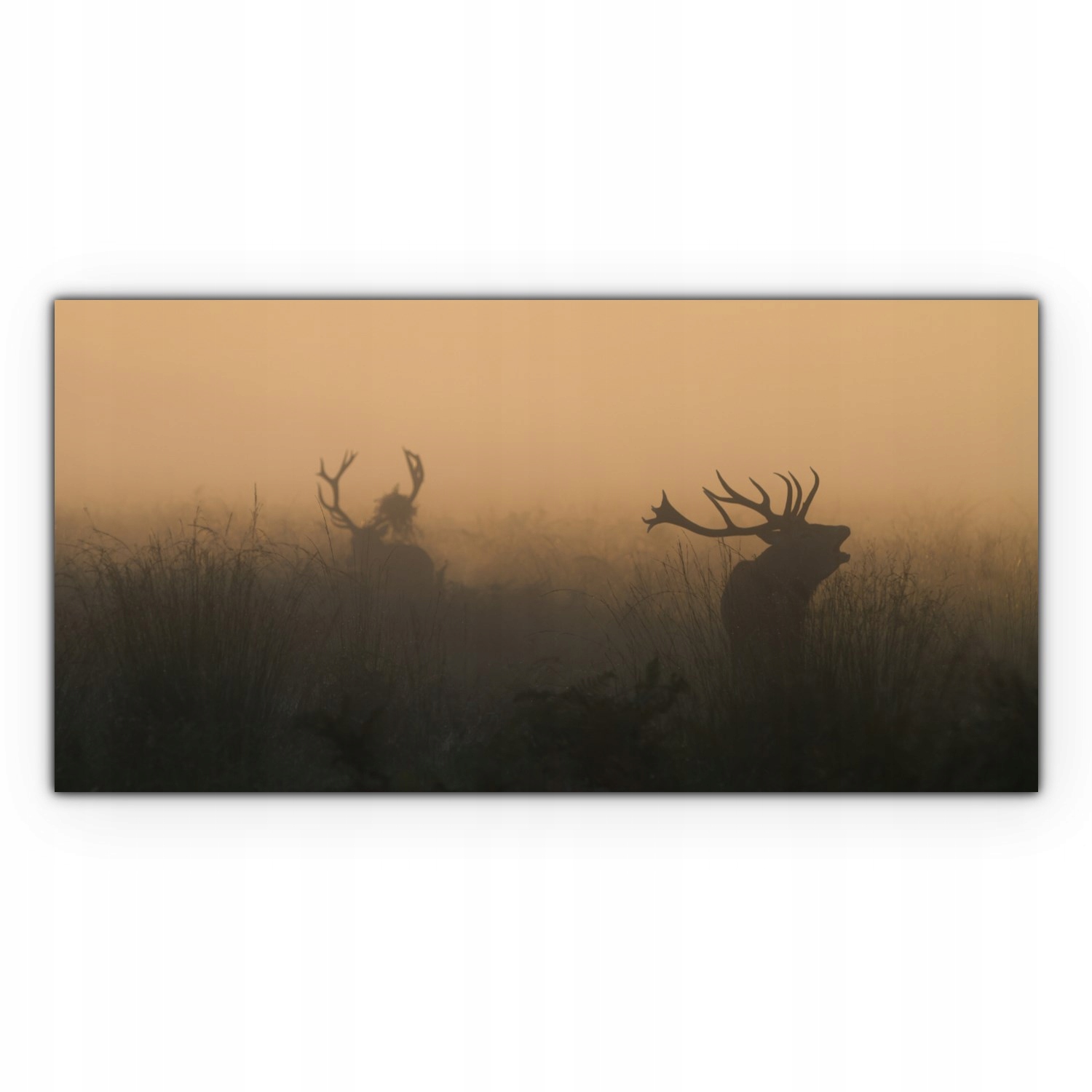 

Canvas na ramie ścienny 120x60 Jelenie Zwierzęta