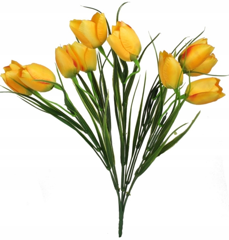 

Krokus Krokusy Bukiet Krokusów Z Trawą Żółty