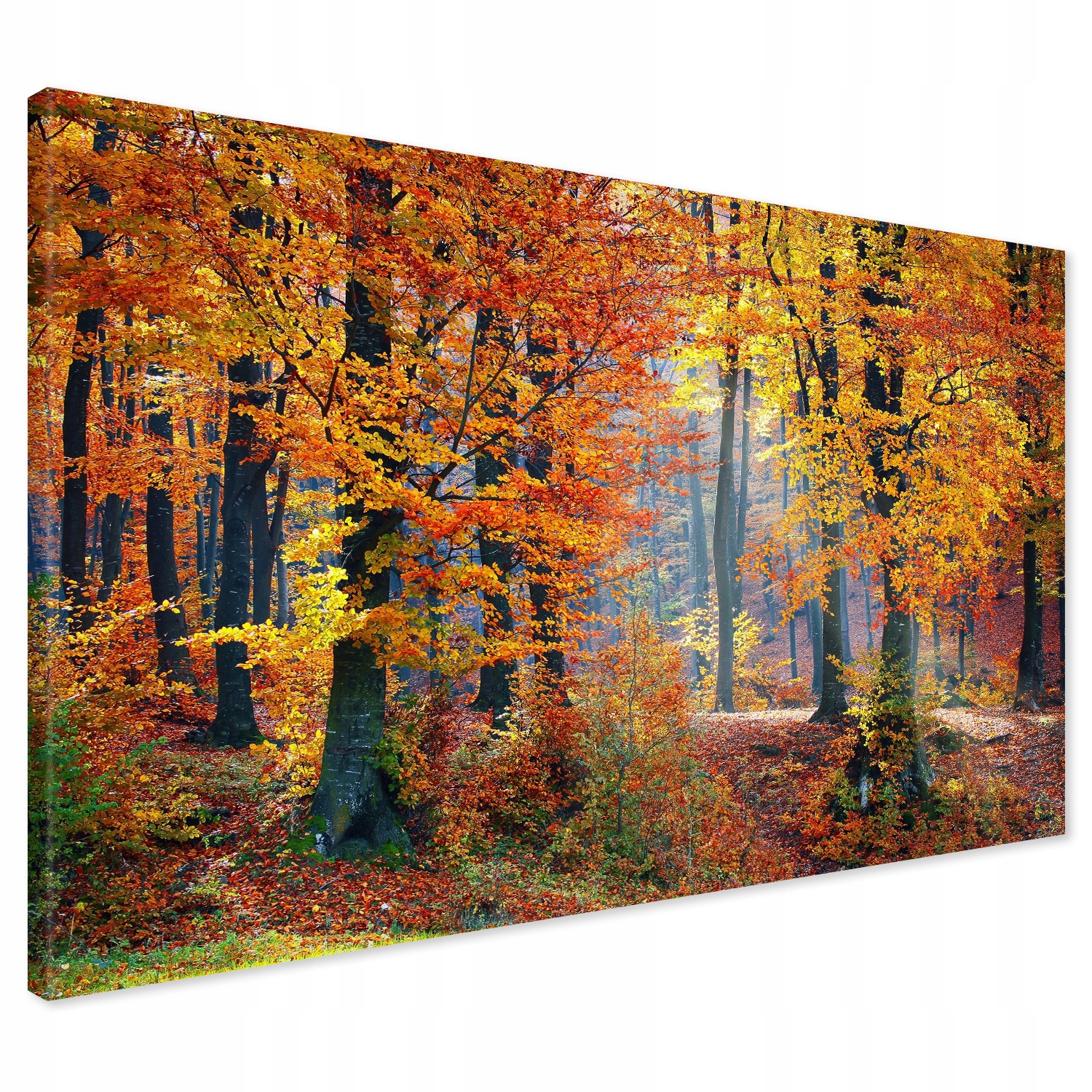 

Obraz na płótnie jesień las drzewa 100x70