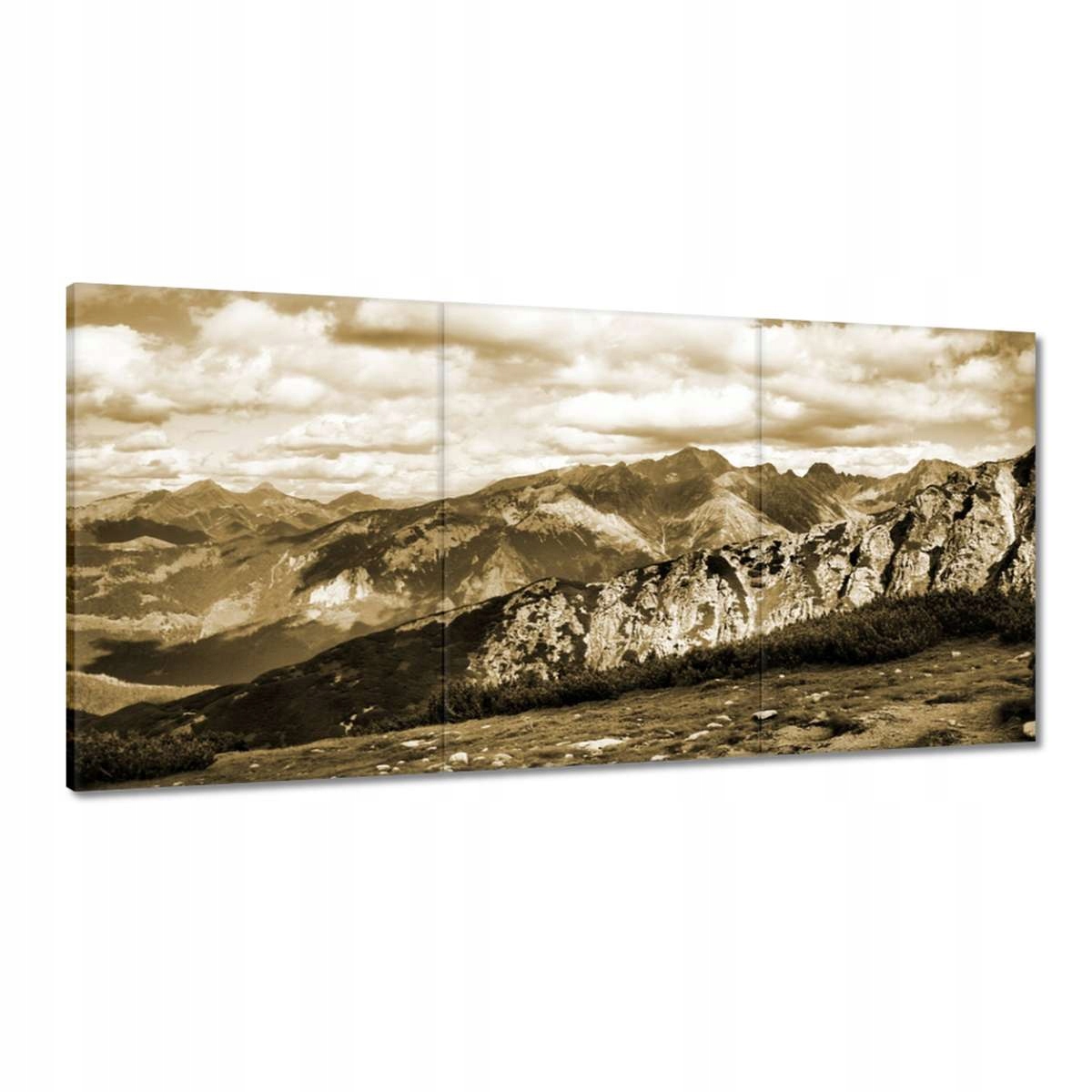 Obrazy 180x90 Tatry Poľské hory Pohľad