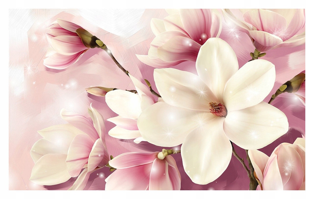 Fototapeta Magnolie jemné bokeh květiny na zeď 368x254 lepidlo