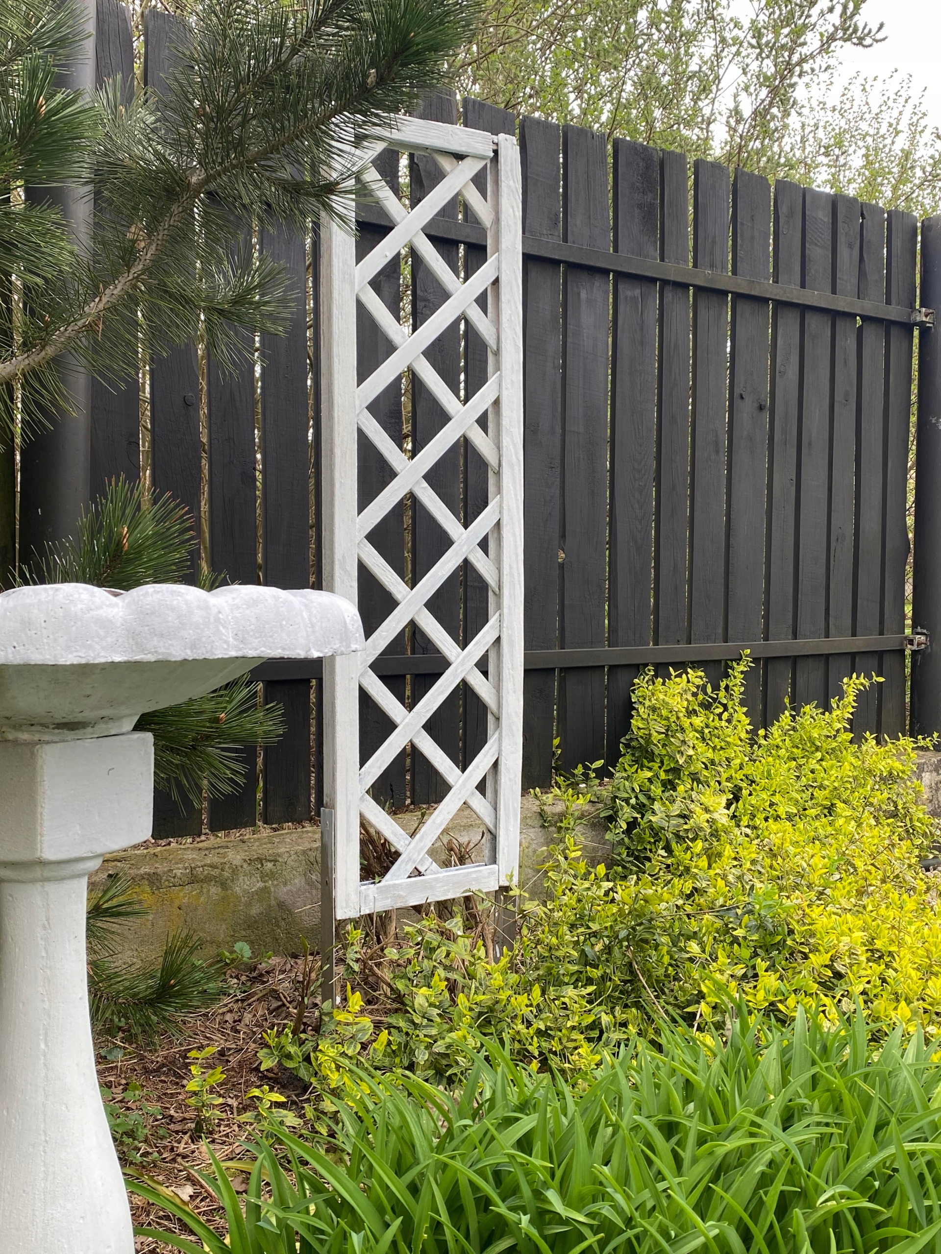 IMPREGNAT BEZBARWNY do drewna z woskami 5l Marka Ardaso