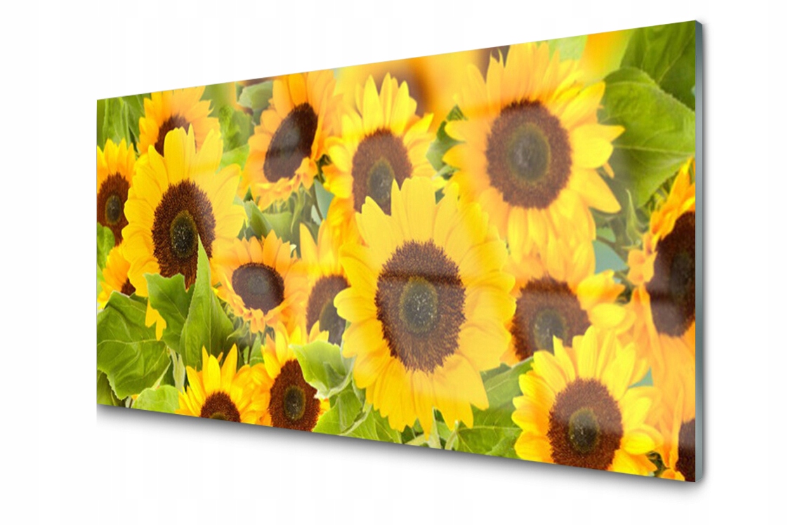 Skleněný panel dekor Slunečnice 120x60 Lepidlo