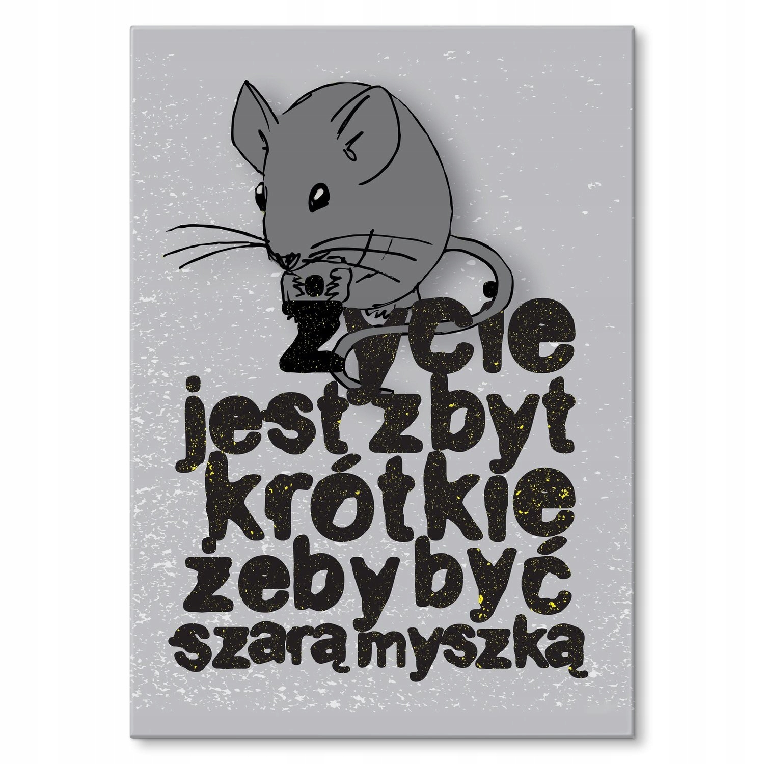 Kovový plakát Šedá myška Szyld Plech 30 x 42 cm Dárek