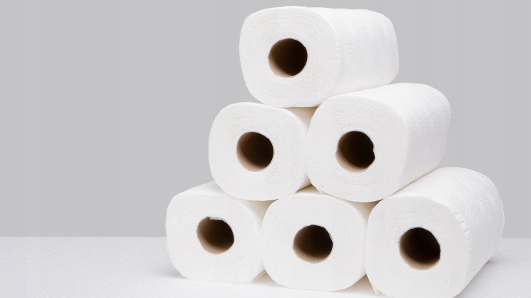 RĘCZNIK PAPIEROWY W ROLCE BIGS KOSMETYCZNY 12SZTUK Nazwa handlowa RĘCZNIK PAPIEROWY W ROLCE BIGS KOSMETYCZNY 12SZTUK