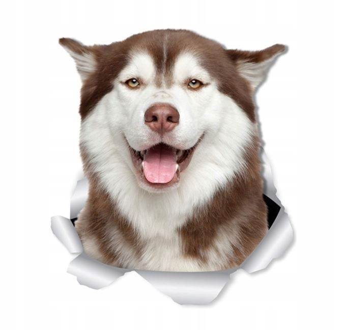

Naklejka Ścienna Kot 3D 2 Sztuki Zestaw Husky