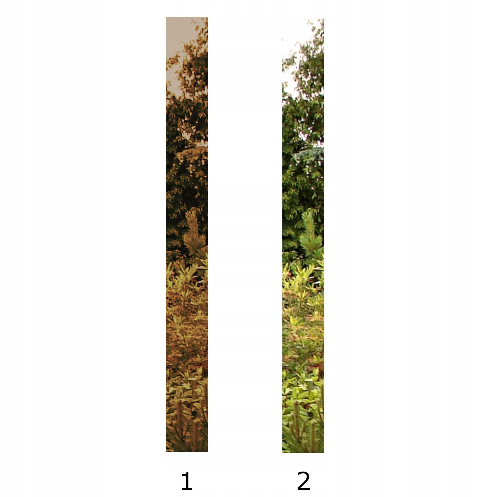 POLSKIE DRZWI ZEWNĘTRZNE INOX SSIG BLACK 55MM 90 Szerokość drzwi 90 cm