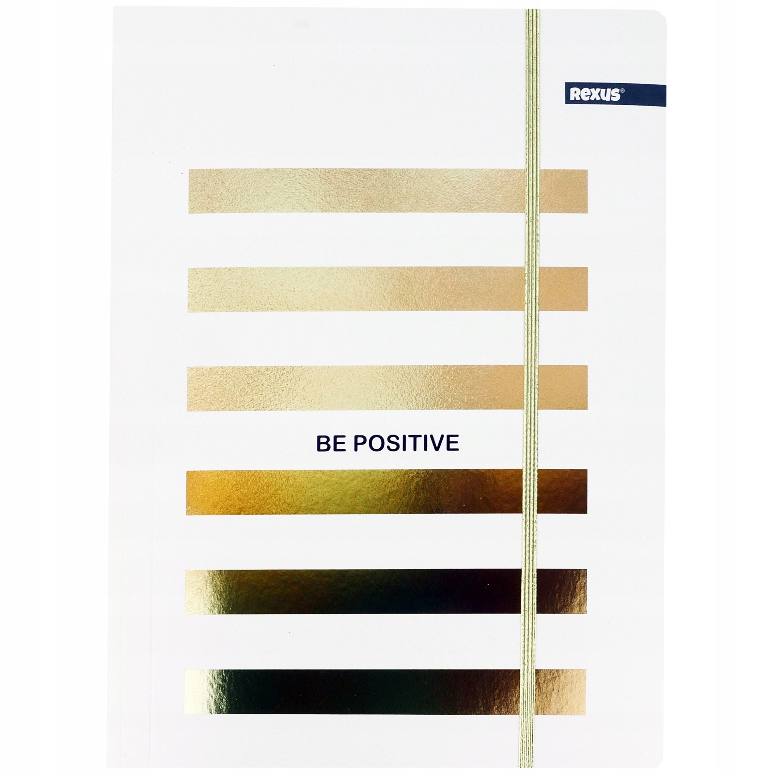 TECZKA SZKOLNA Z GUMKĄ FORMAT A4 REXUS METALICZNA Kod producenta 02236