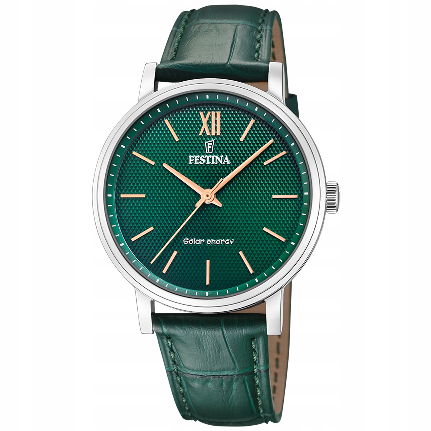 Pánské Hodinky Festina F20660-5 zelený pásek