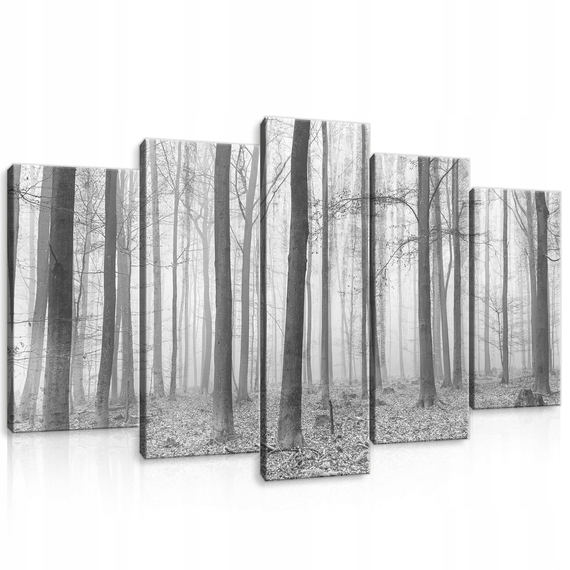 Obraz 100x60 Mlžný les černobílá krajina příroda modulární bez rámu