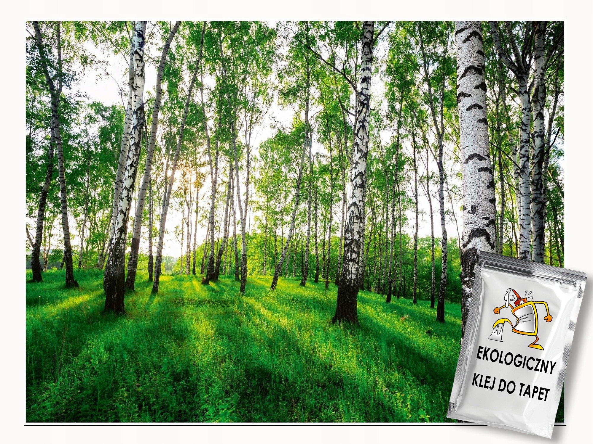 Fototapeta Březový Les Stromy 3D Do Ložnice Obývacího Pokoje Tapeta Na Zeď 350x250