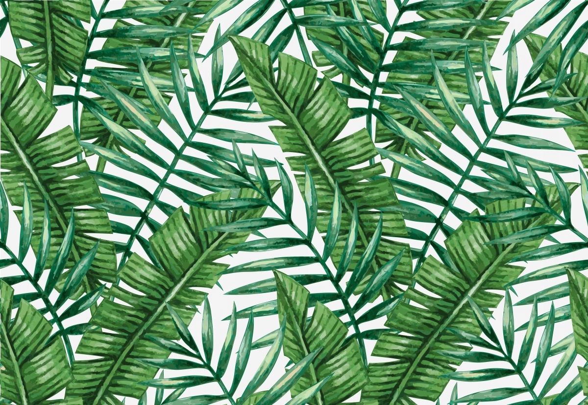 

Fototapeta Flizelina Liście palmowe - 152x104