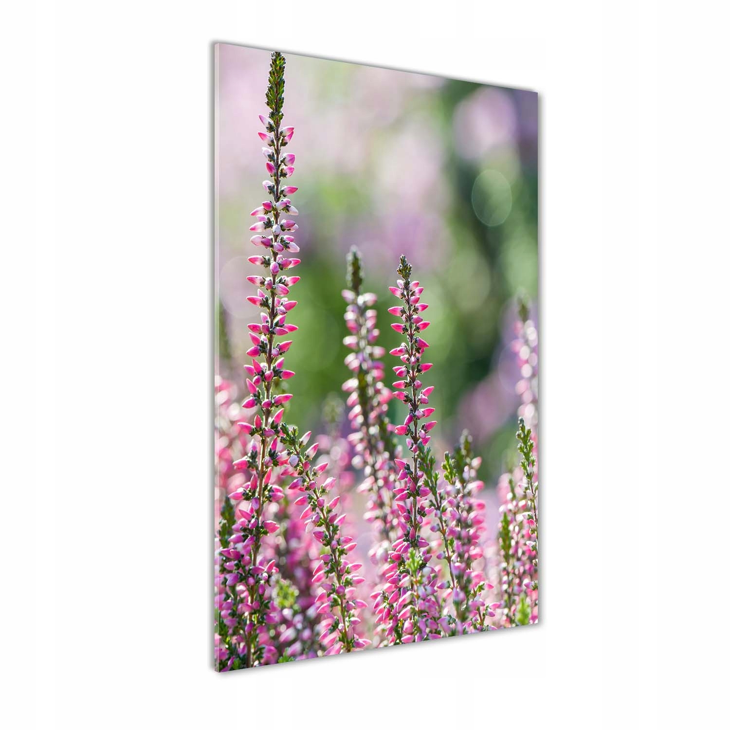 

Nowoczesny foto-obraz akryl na ścianę Wrzos 60x120