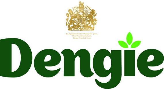 DENGIE sieczka Hi Fi Lite 20 kg Marka Dengie