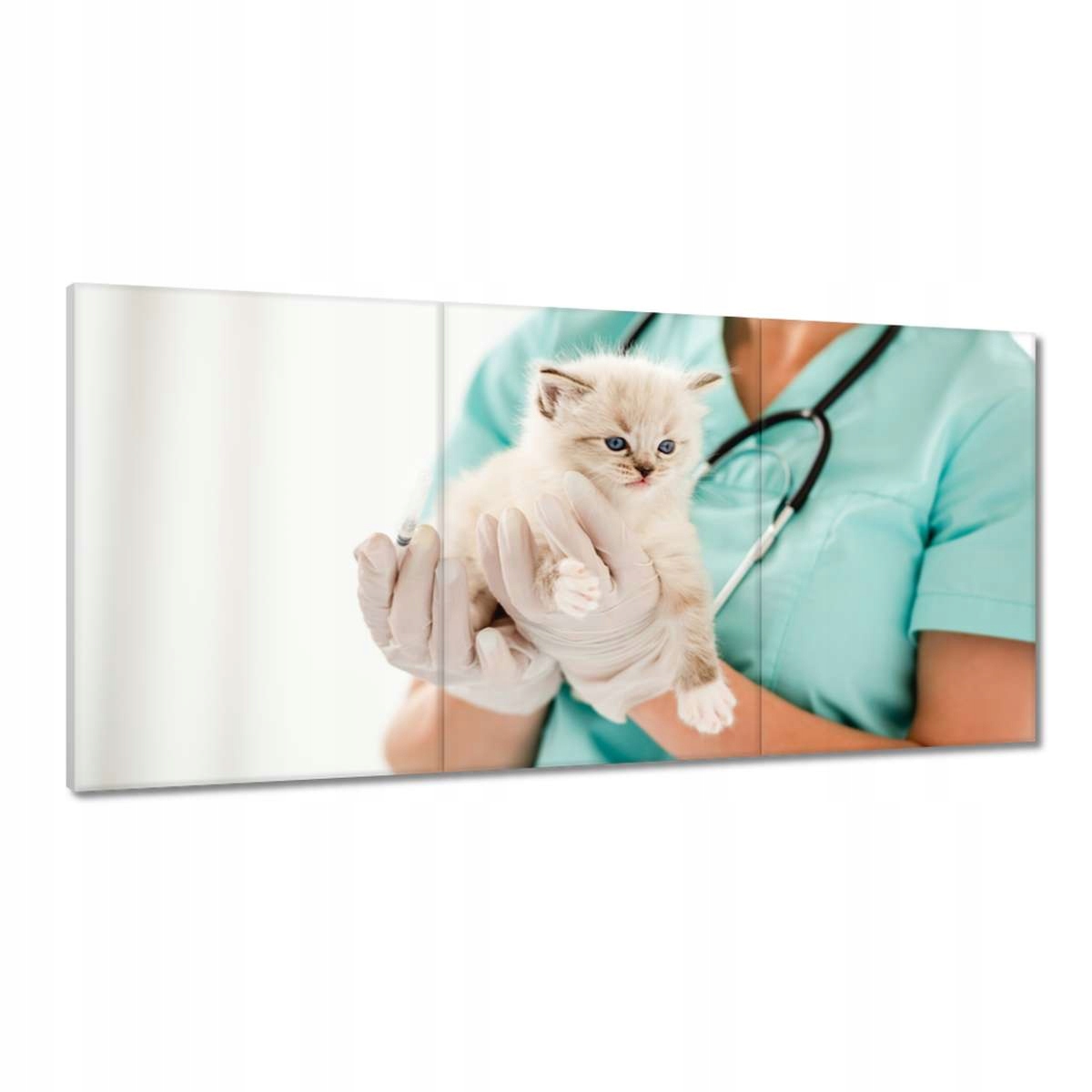 Obrazy 180x90 Mačiatko veterinárna klinika