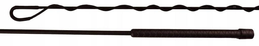 Bat do lonżowania SIGMA2 purple 180cm Fair Play