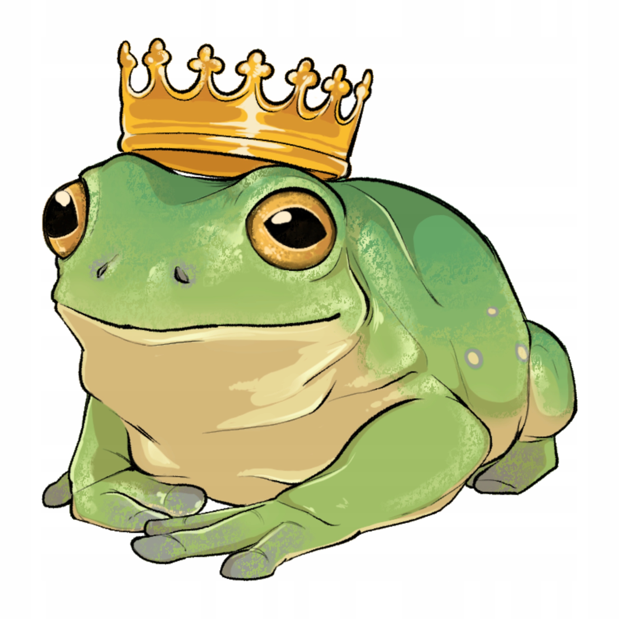 

Naprasowanka Żaba Żabka Naklejka Na Odzież 5