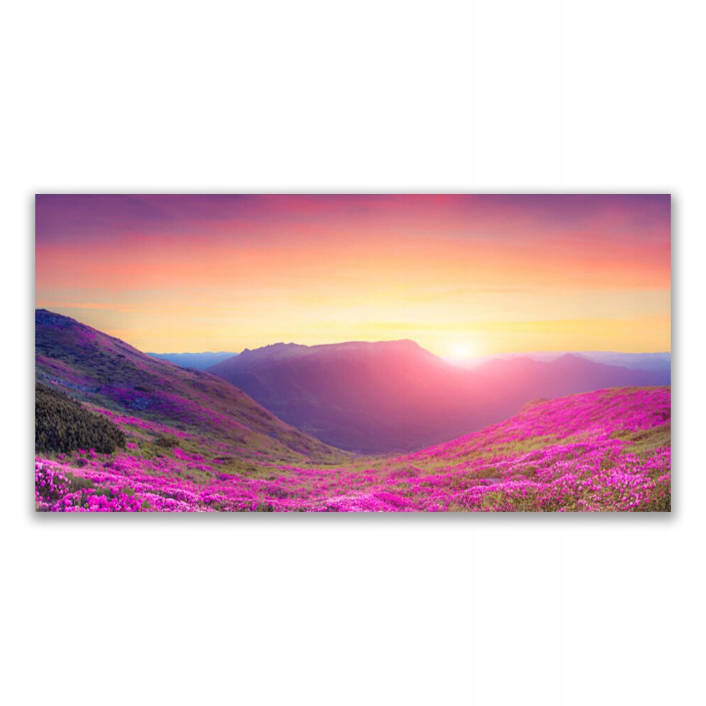 

Fotoobraz ścienny 140x70 Słońce Góry Łąka Natura