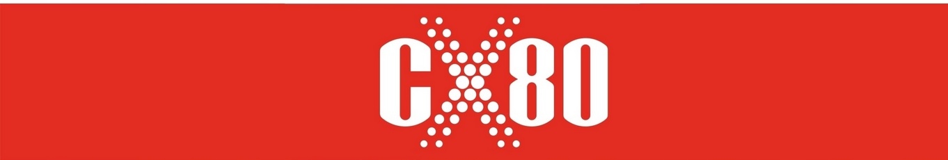 SMAR DO ŁOŻYSK WYSOKOOBROTOWYCH CX80 KARTUSZ DO SMAROWNICY 400G Stan opakowania oryginalne