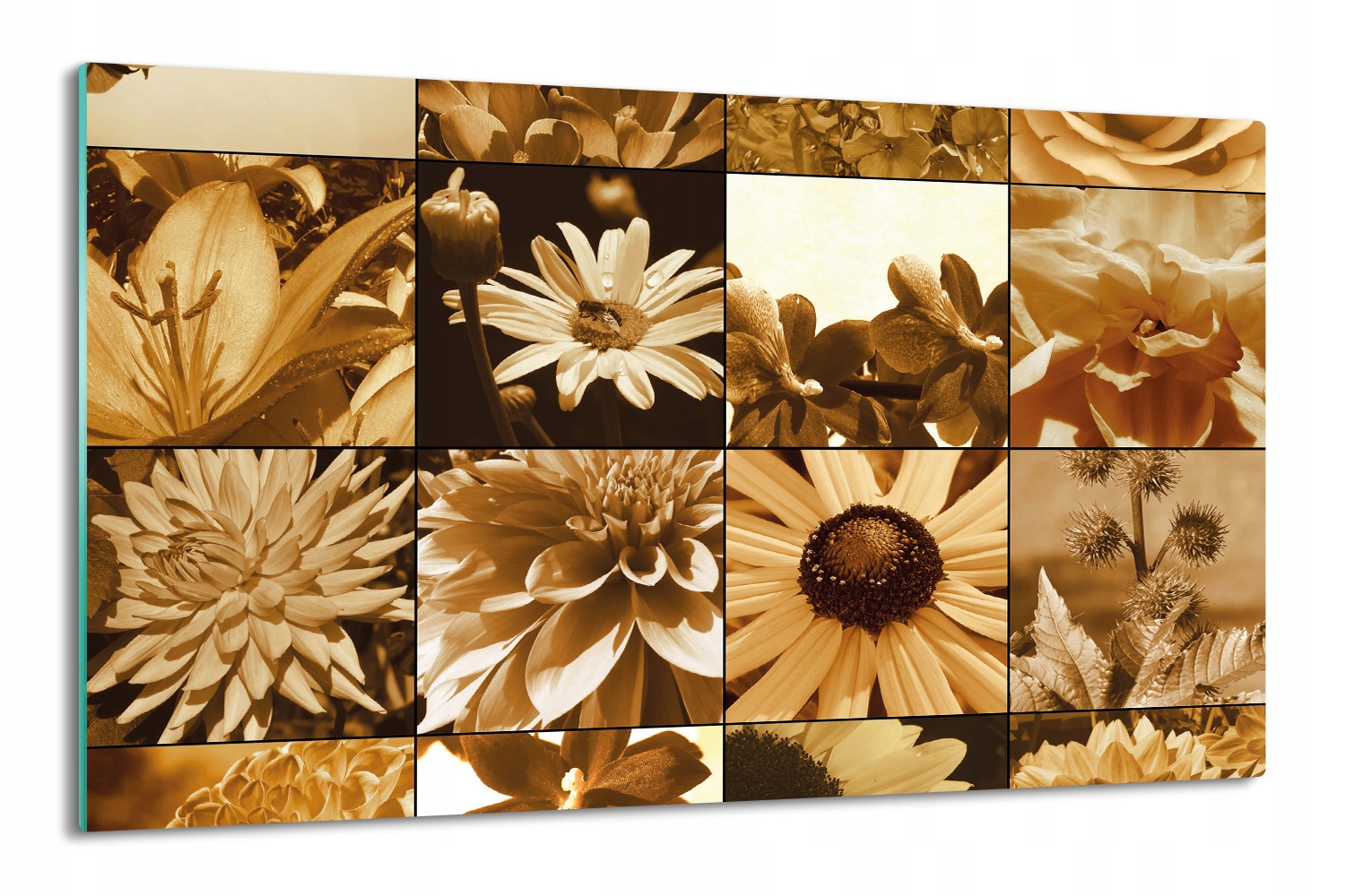krytka splashback 80x52 tisk Koláž květiny okvětní lístky