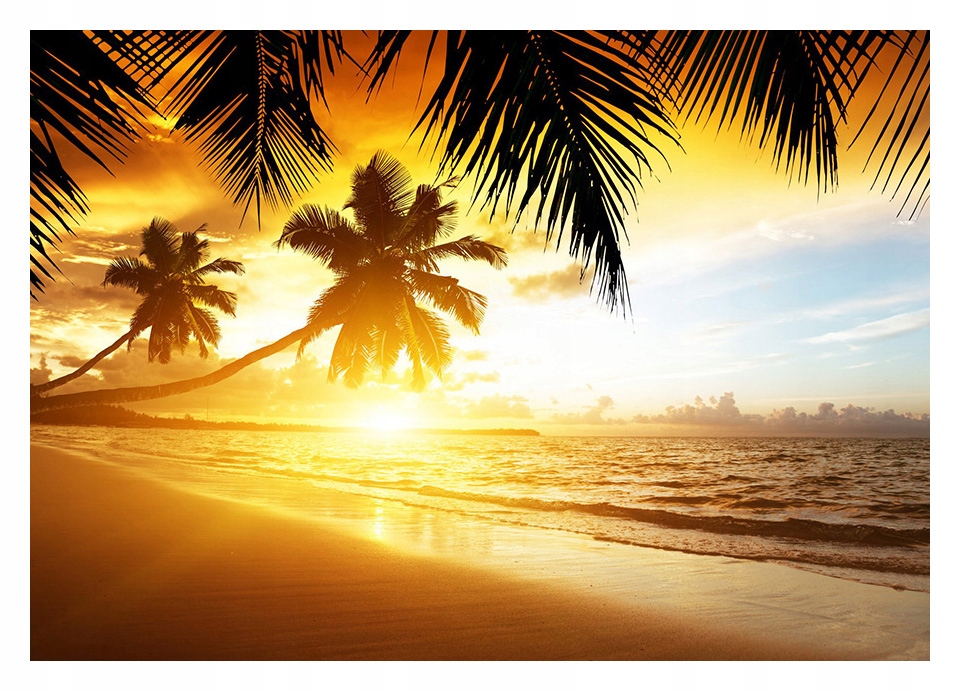 

Fototapeta 3D plaża morze palmy 254x184 F00167