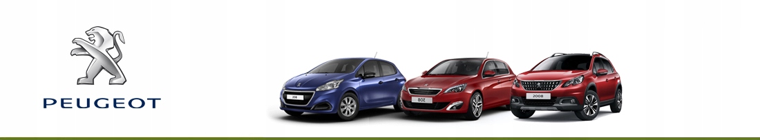 Zawór ciśnienia turbiny PEUGEOT 208 301 308 / FORD / CITROEN / OPEL 1.6 Typ samochodu Samochody osobowe