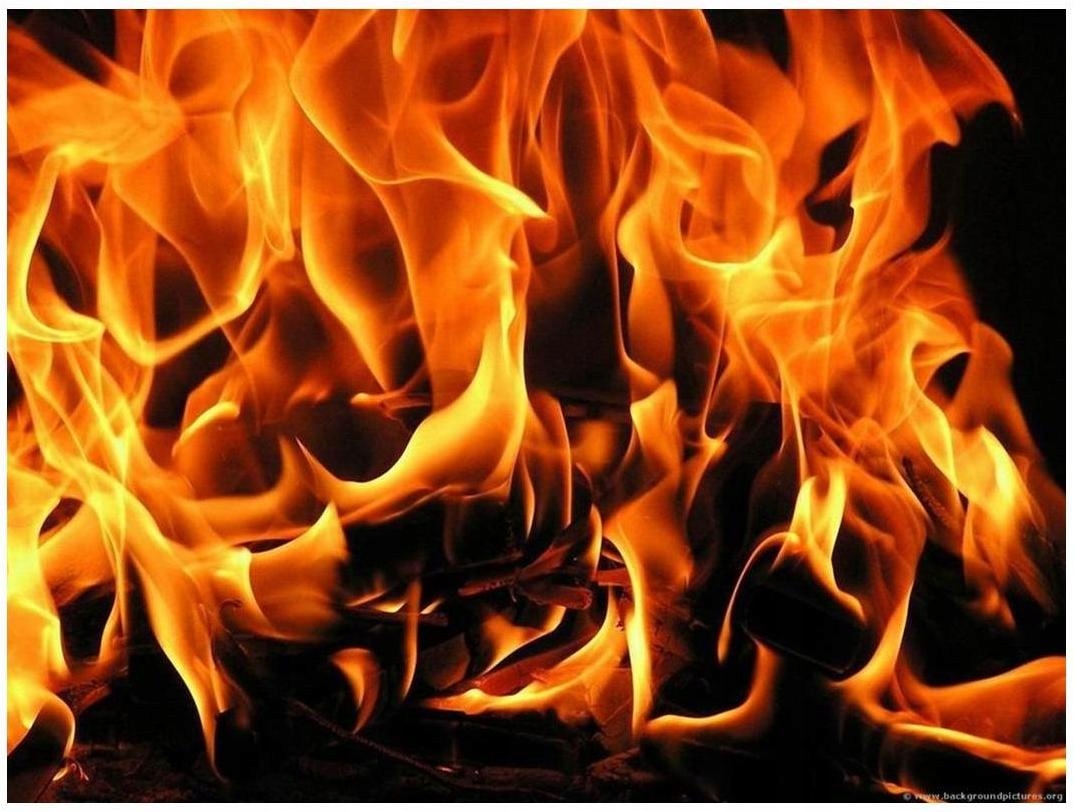 Ekopodpałka Podpałka Rozpałka pieca kominka 100szt EAN (GTIN) 5905548577630