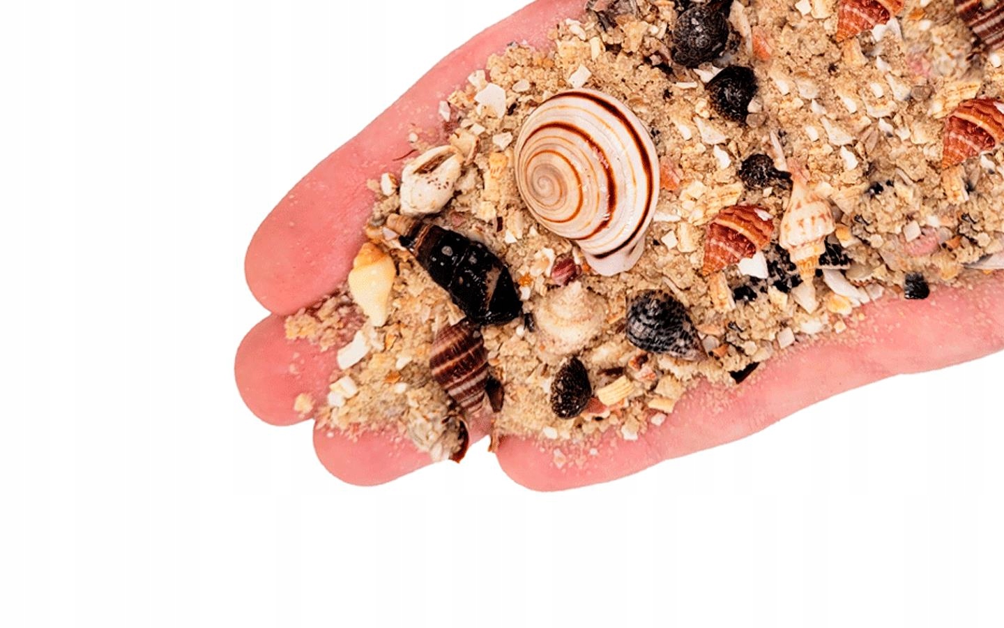 Levně Wio Nautilus Light Riverbed 0,1-5CM 2KG Světlé říční dno Nautilus, zrnitost 0,1-5 cm, 2 kg