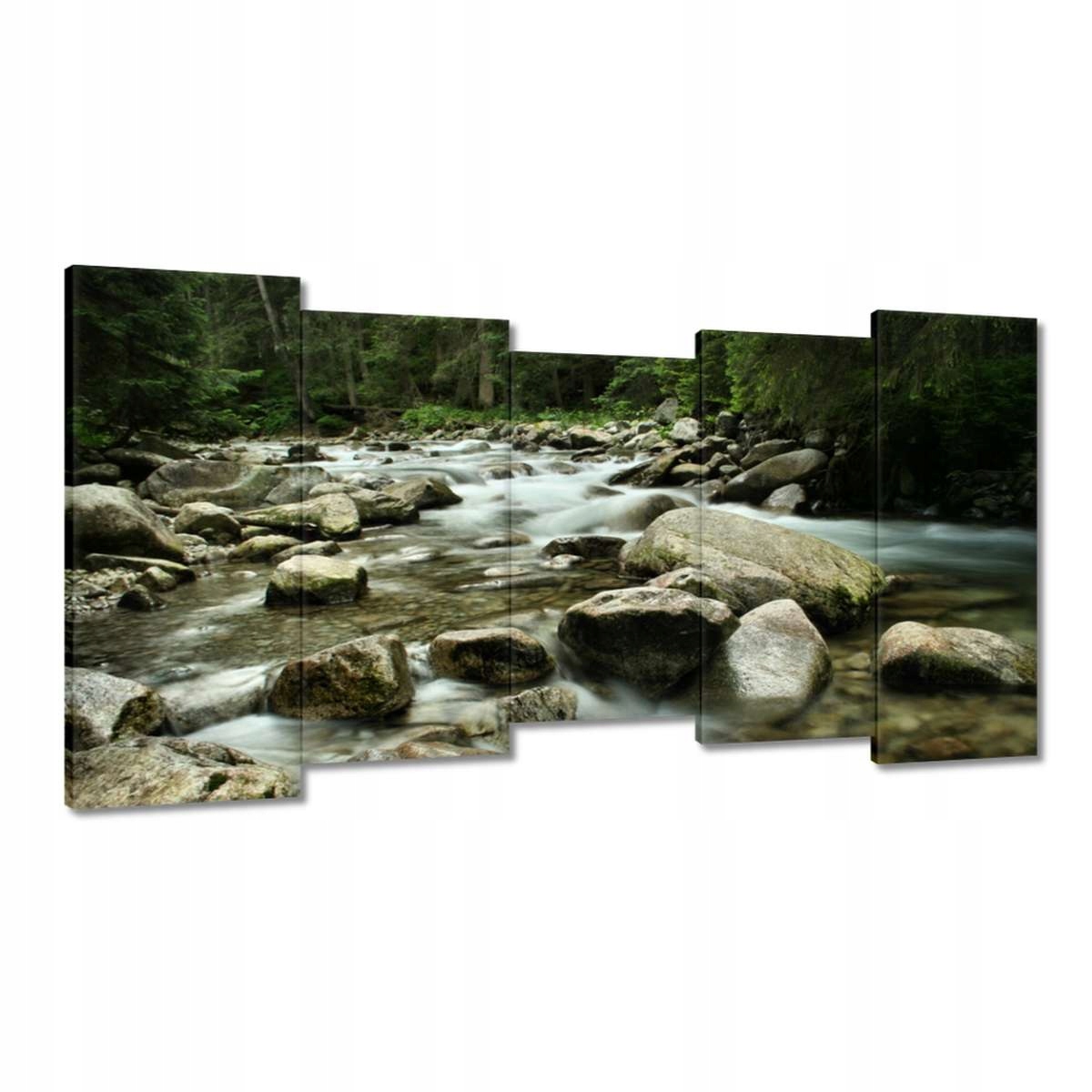 Obrazy 150x80 Tatry Polské hory Pohled