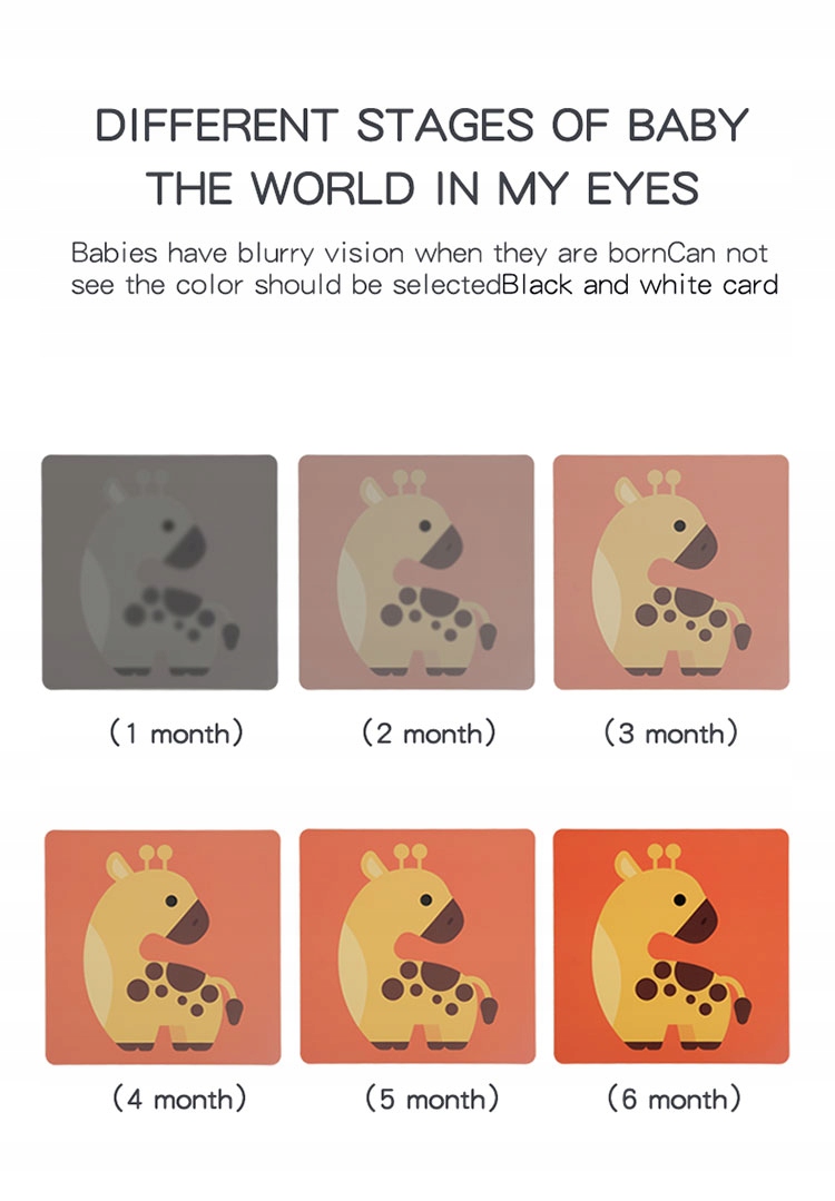 Karty kontrastowe malucha 3+ miesięcy EAN (GTIN) 5905317688802