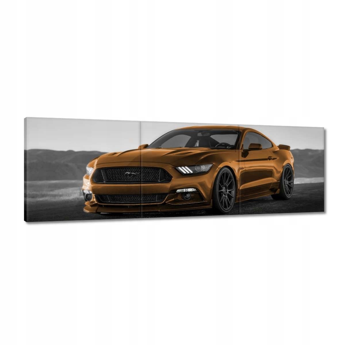 Obrazy 150x50 Ford Mustang Auto Usa