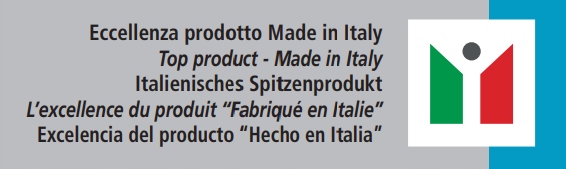 Podnośnik 2-kolumnowy Ravaglioli KPN349WELIK Italy Marka Ravaglioli