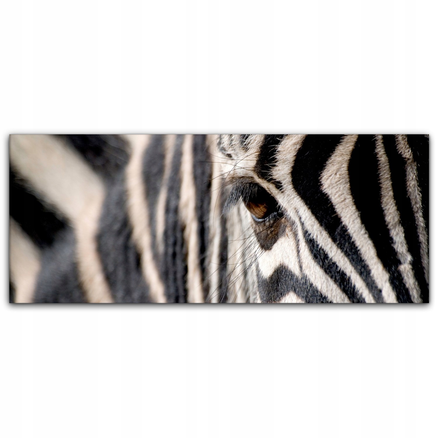 

Obraz canvas na ścianę 125x50 Zebra Zwierzę Safari