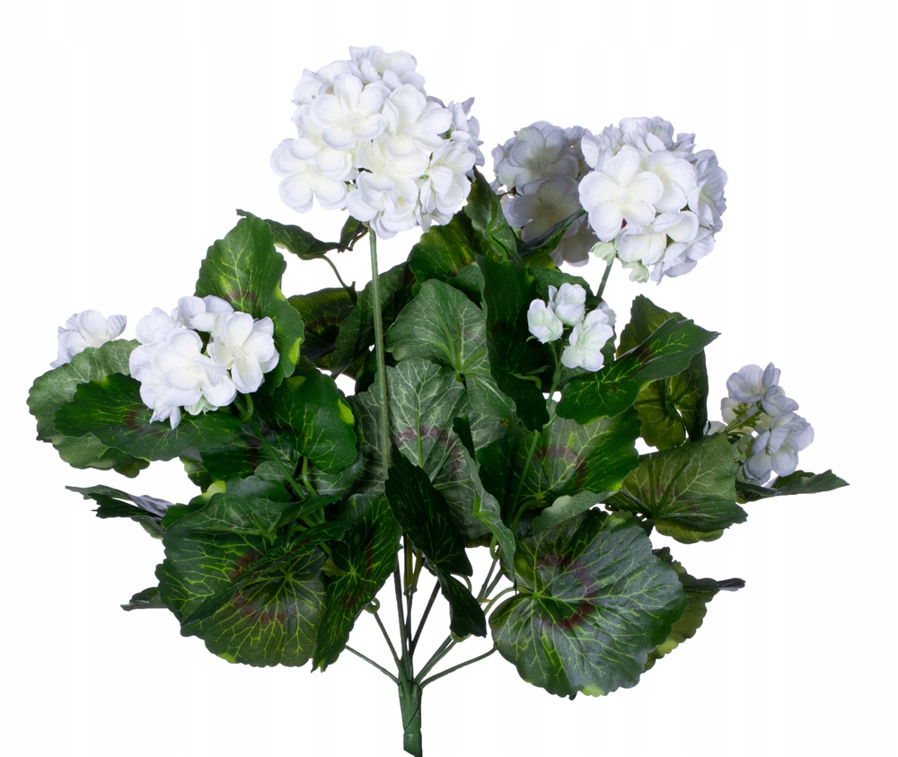 

Pelargonia geranium bukiet kwiatów biała sztuczna