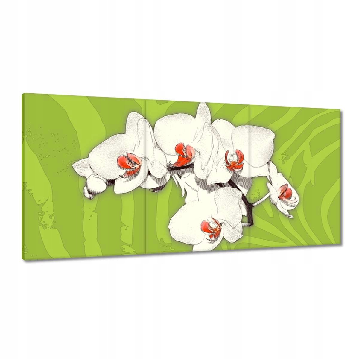 Obrazy 180x90 Limetka a biela orchidea Orchidea