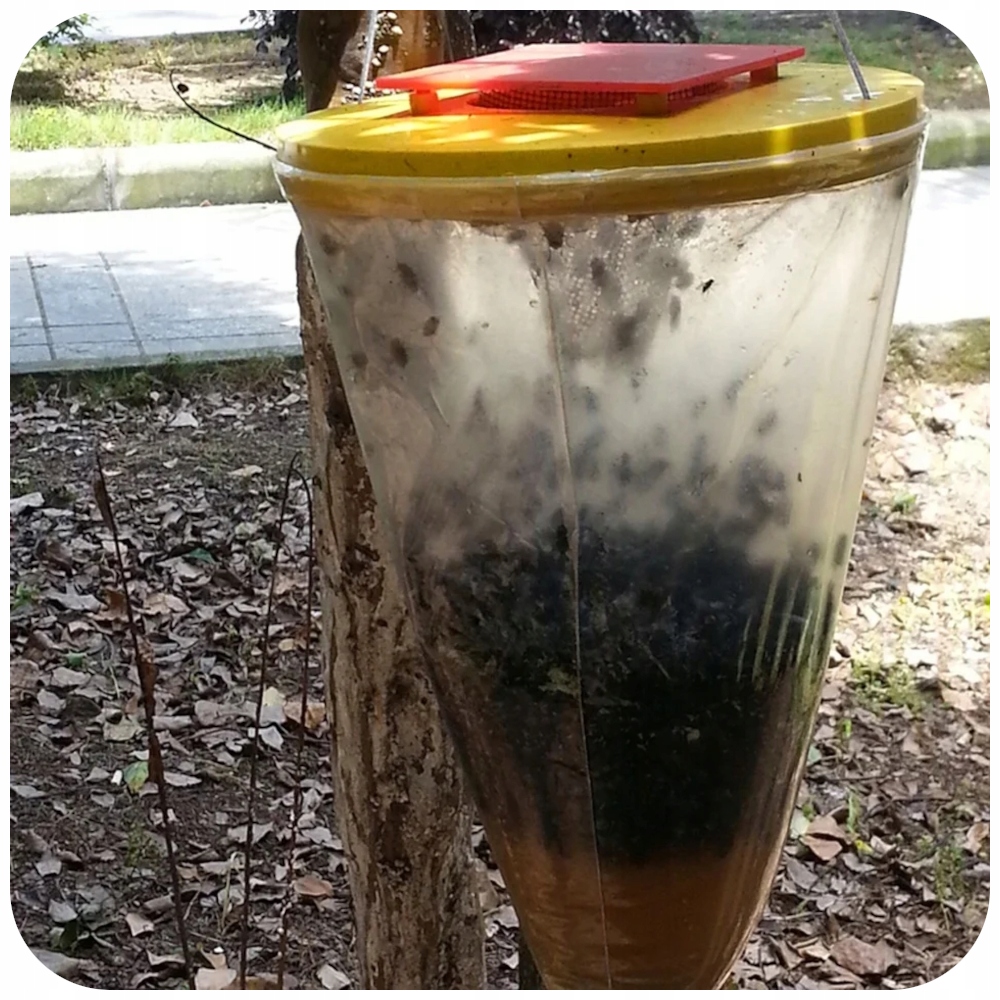 PUŁAPKA NA MUCHY OWADY SKUTECZNA ŁAPKA WOREK MUCHOŁAPKA Z PRZYNĘTĄ WABIKIEM EAN (GTIN) 5906088301389