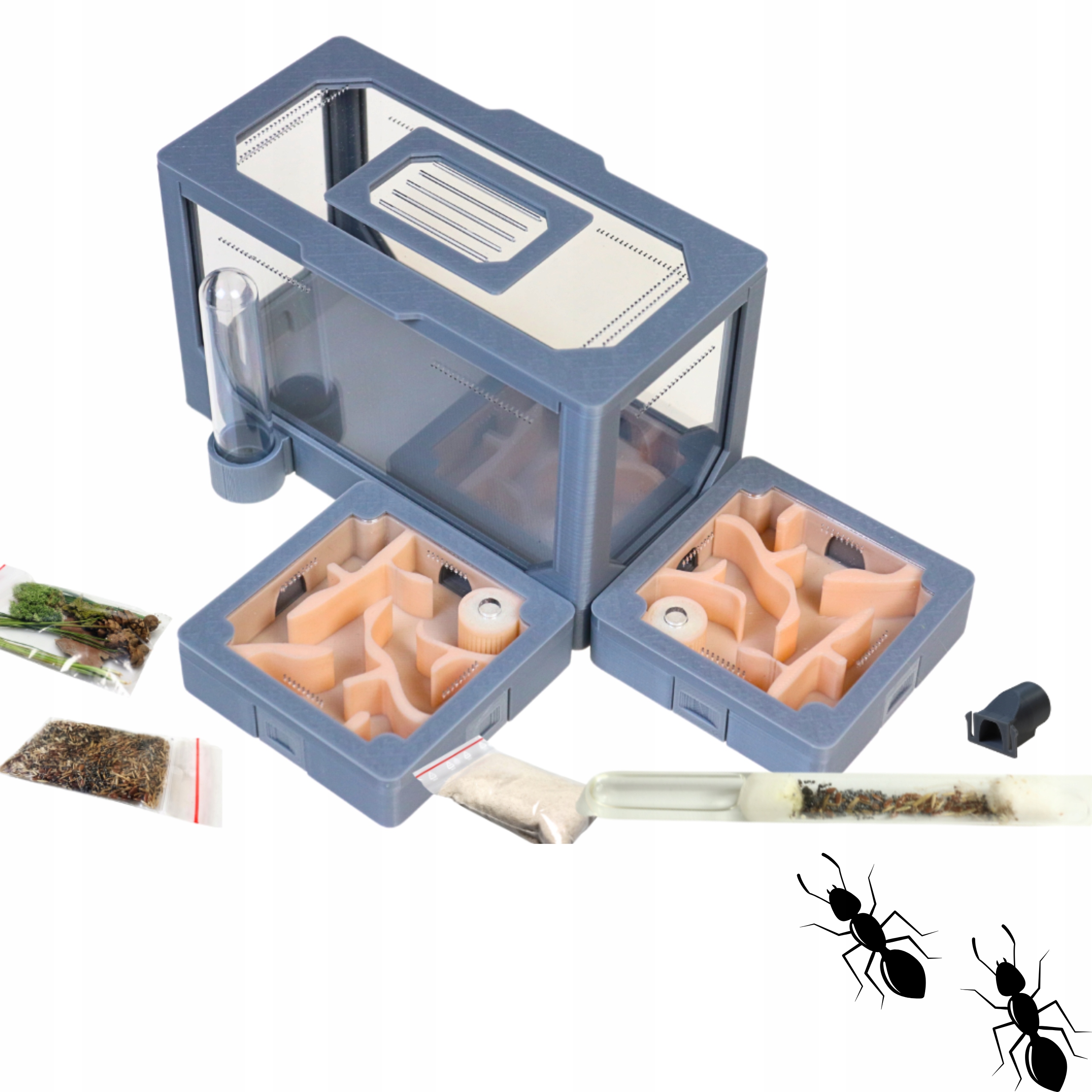 Formikarium Modułowe AntLove- zestaw łososiowy nr 6 z Messor barbarus